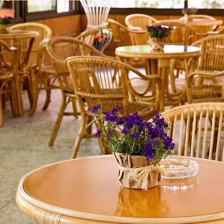 Hostal Fabrellas Caldes de Malavella Zewnętrze zdjęcie